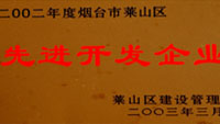 2002年萊山區(qū)先進開發(fā)單位